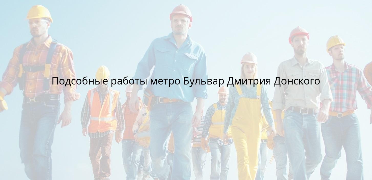Подсобные работы метро Бульвар Дмитрия Донского